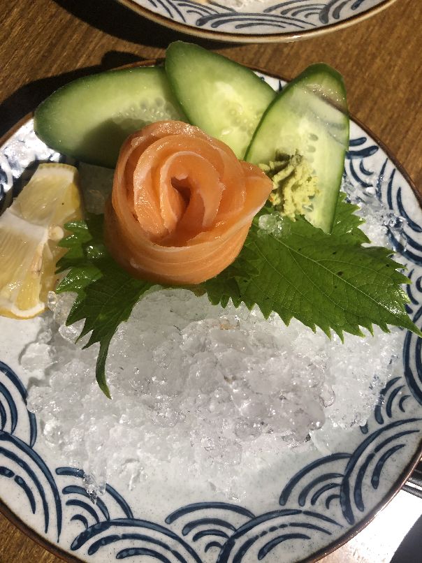 放风的鹦鹉,放飞的小鸟