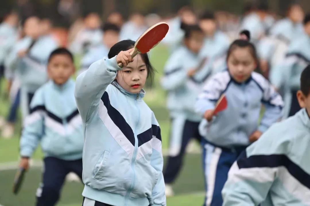运动赛场展雄姿征文,运动盛会展风采