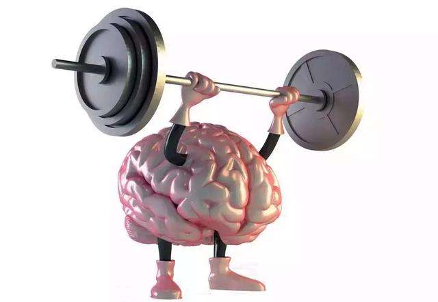 胃肠道微生态环境,胃肠道的各个器官