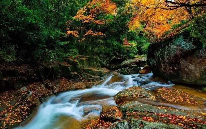 郑州保利永威西溪花园租房,郑州保利永威西溪花园二手房