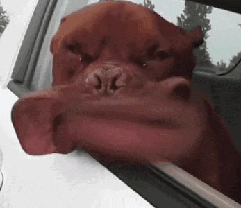 怎样享受生活快乐,怎样享受生活的快乐