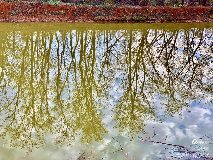 洛阳市宜阳凤凰岭射箭,宜阳县凤凰岭体育基地