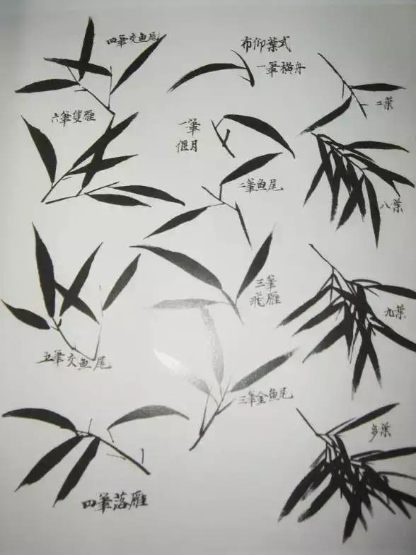 国画初学者学画竹教程,国画如何画竹子教程图解