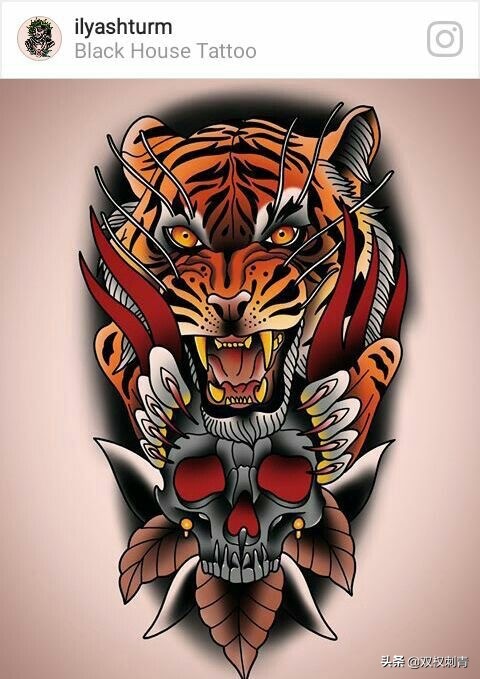 新传统老虎纹身手稿,满背老虎纹身手稿大全