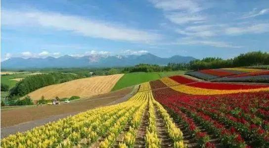 2021农业扶持项目申请条件,农业种养殖业扶持项目具体有哪些