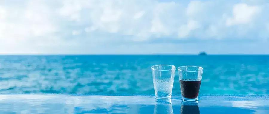 椰果补什么,椰果益处