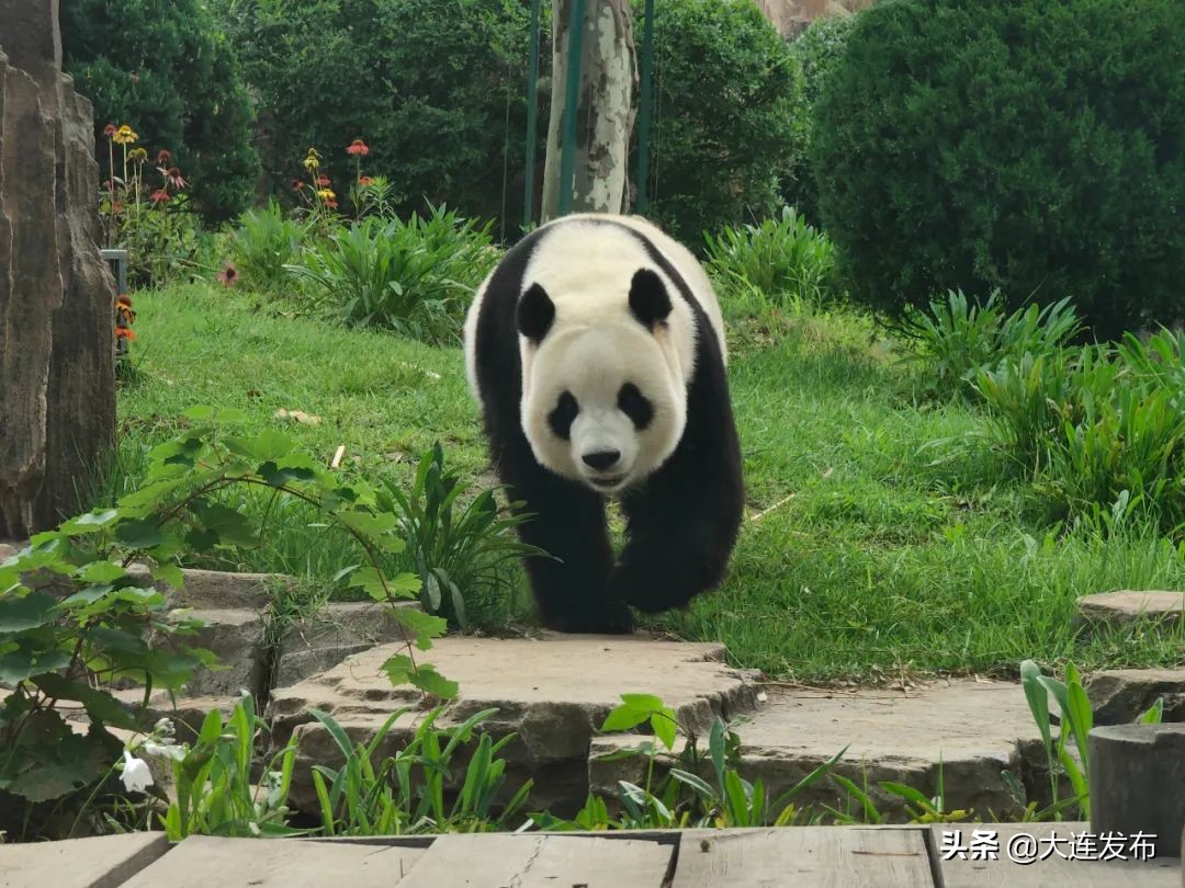中国体育旅游十大景区,体育旅游十大必去景区