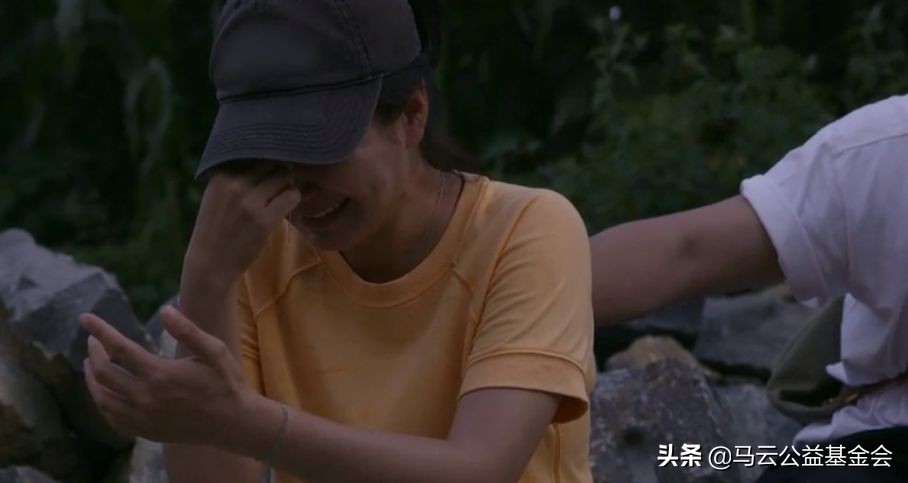 奇遇人生非洲大象,奇遇人生