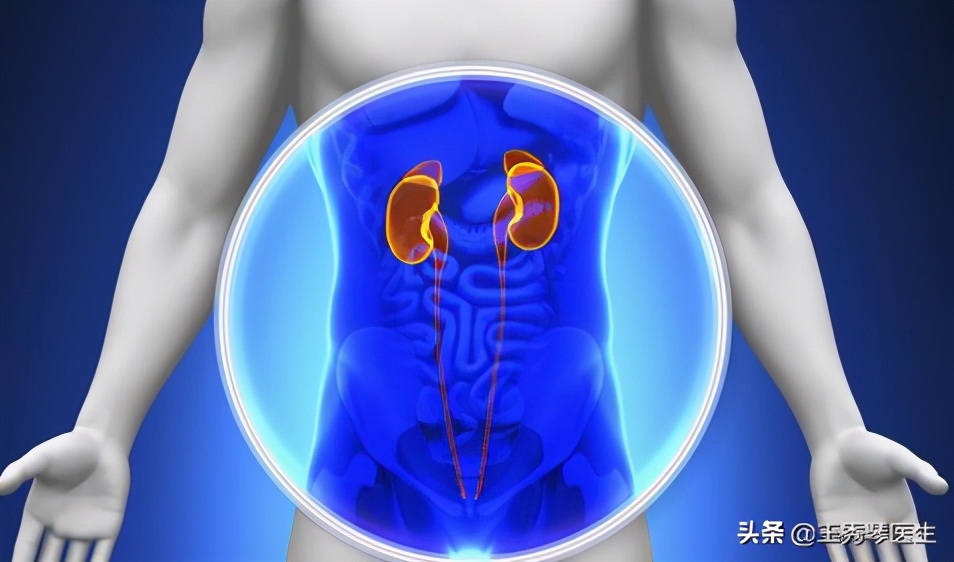 肾阴虚和肾阳虚的区别和功效,肾阴虚与肾阳虚的区别在哪里