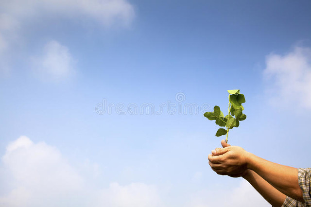 幽了个笛笛,幽了个默