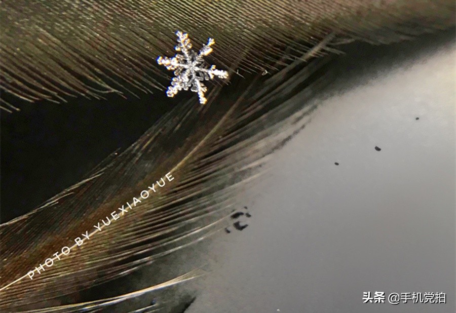 教你宅家拍氛围感大片有手就行,宅家就能轻松拍大片