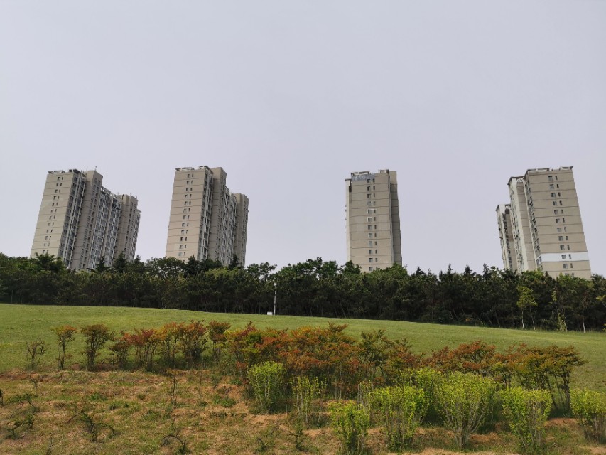 青岛高新区的公园让人们享受,青岛有个特别美的地方