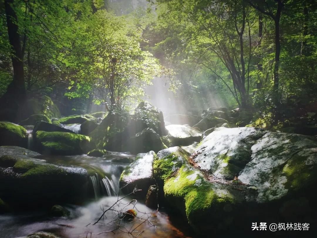 巴威台风本溪,台风巴威长白山