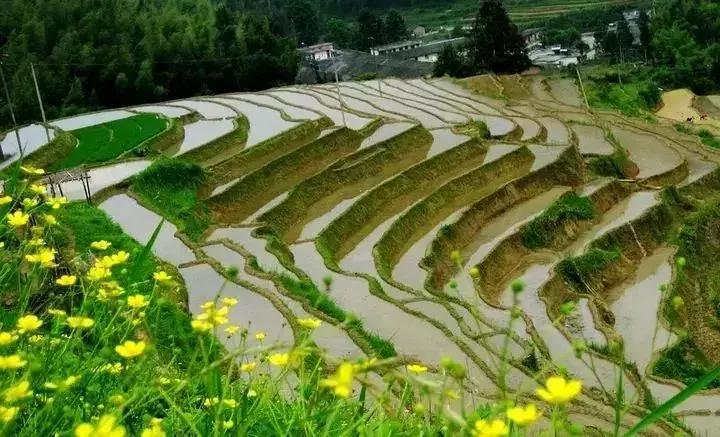 有个地方叫南雄,岭南一隅的南雄