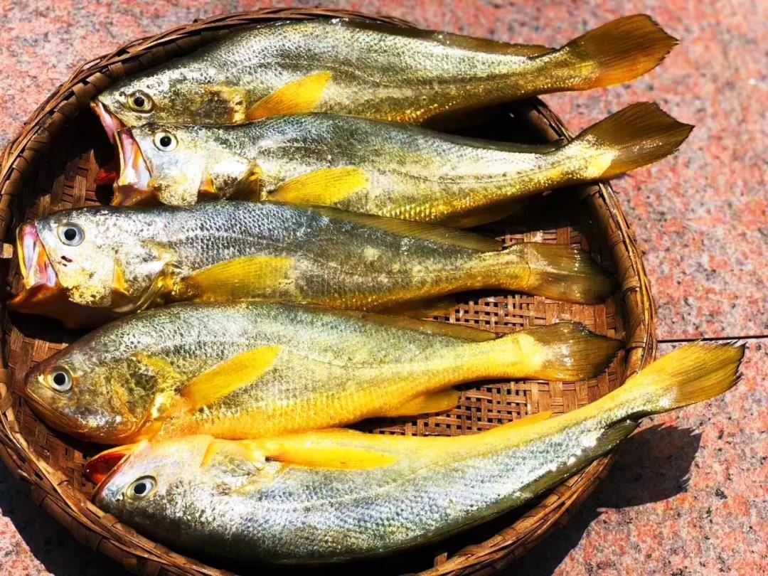 渔家女事件,渔家女海鲜视频