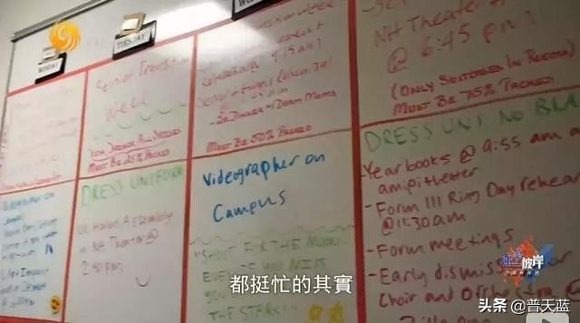 国外留学生真实生活,中国留学生在国外用中医治病