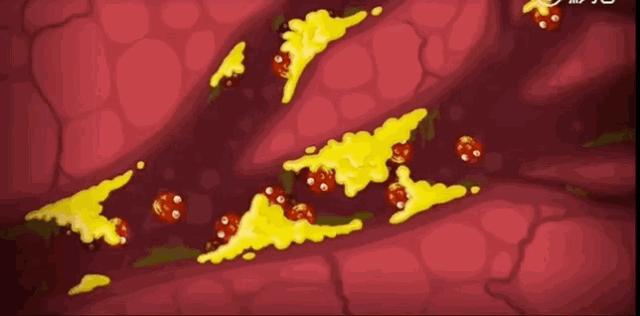 一部动画告诉我们不停地改变自己,一部动画让我们知道了死的意义