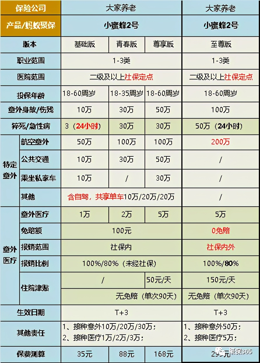 这个小蜜蜂又飞回来了