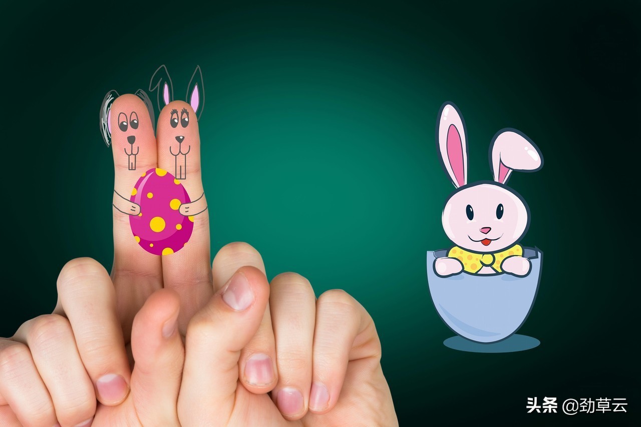 教育兔子急了也会跳墙,兔子效应