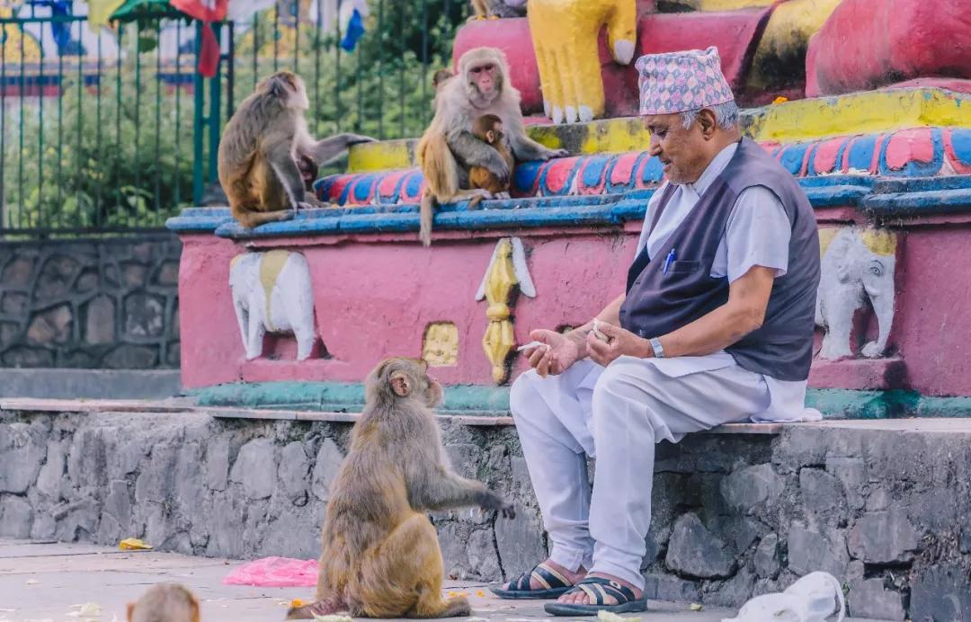 *局骗**和微笑,3000元带你体验双面尼泊尔