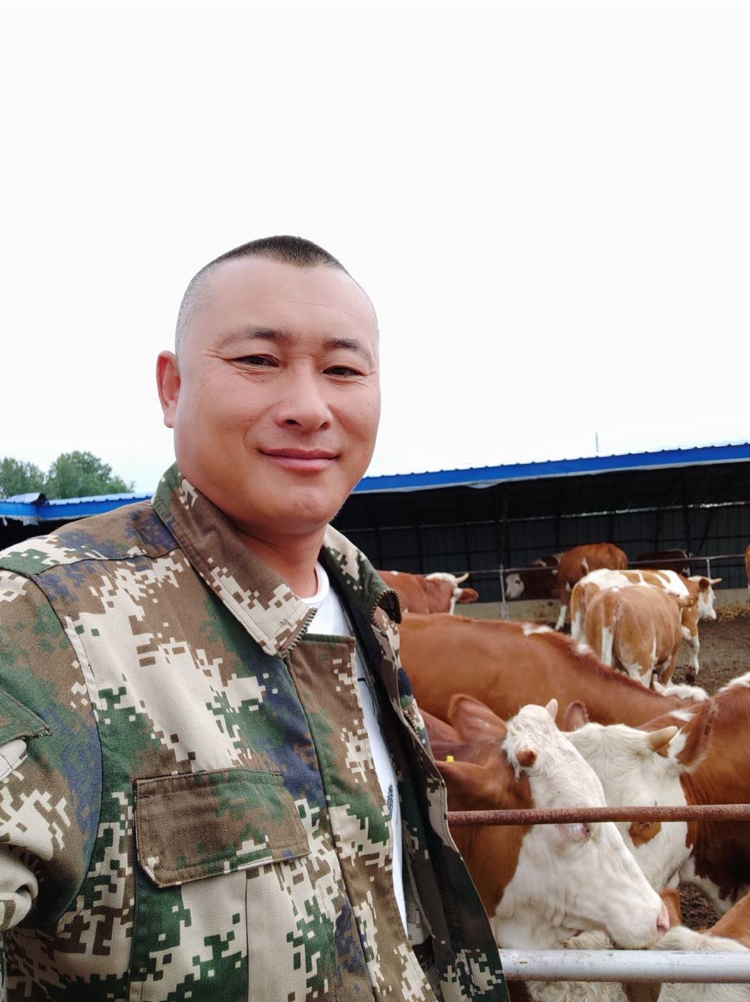 长途运输应激,运输抗应激有什么用