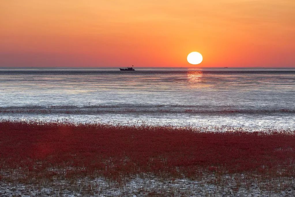 2019旅行必备清单,2022年flag清单