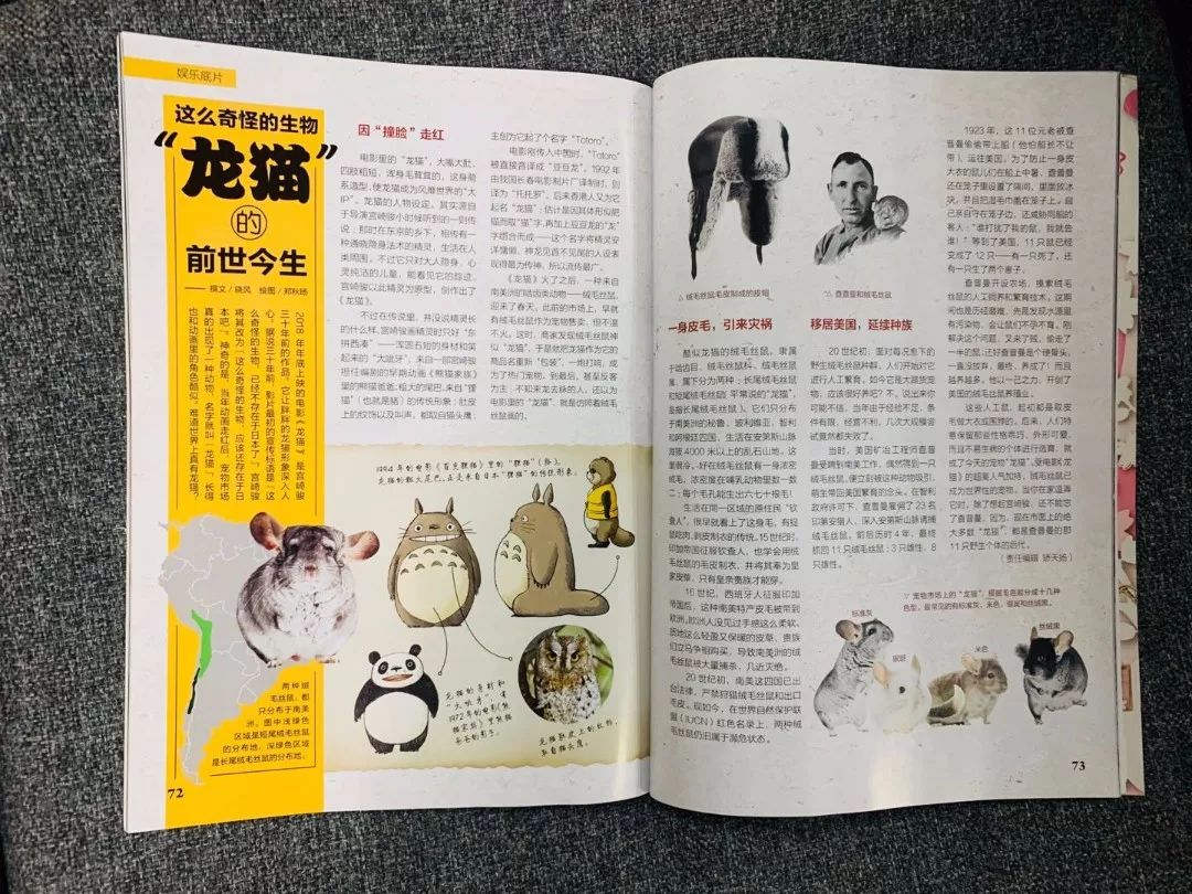 班主任推荐的书目,班主任方面的杂志推荐