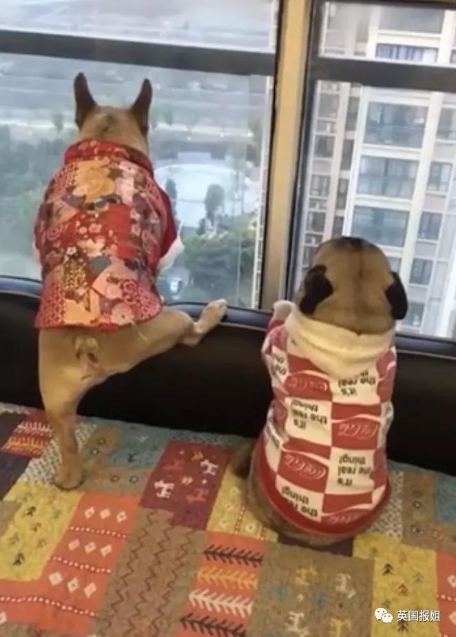 宅家无聊自娱自乐想跳就跳就好,宅家无聊自娱自乐放松一下