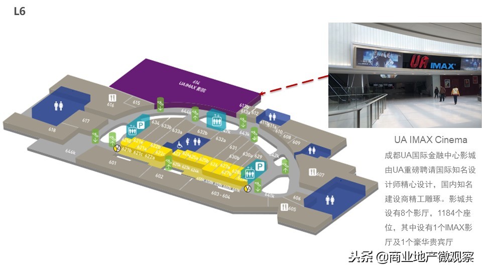 在成都看ifs熊猫,成都ifs上的爬墙大熊猫