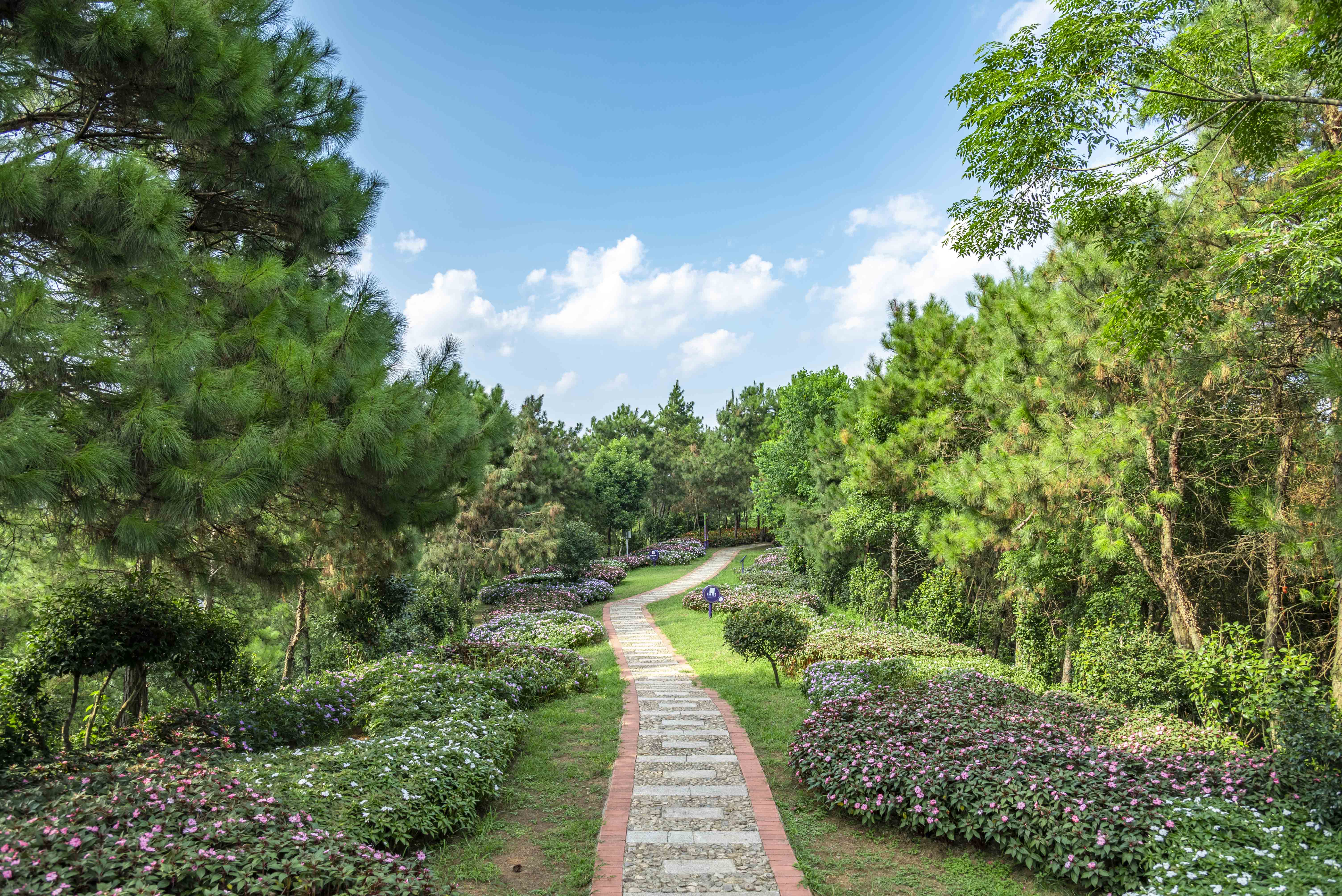 黄湾小镇避暑民宿,黄冈民宿自驾游