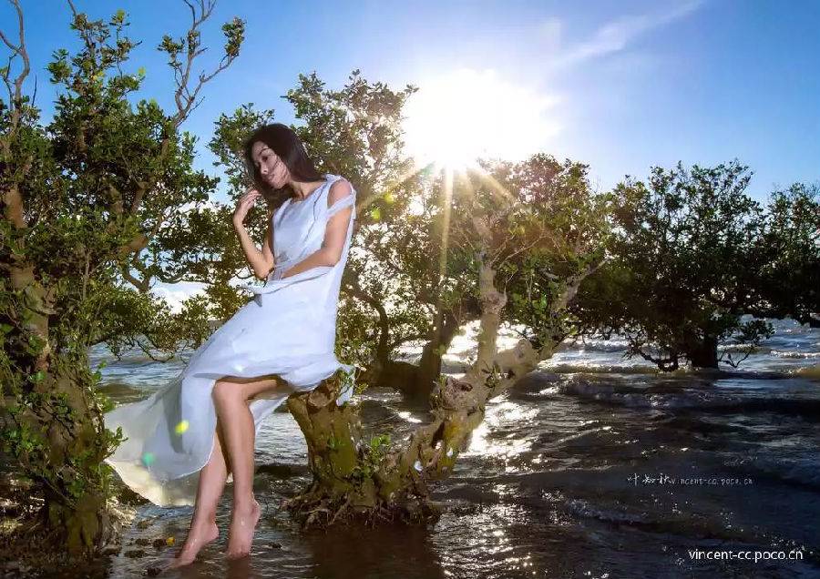 去湛江住特呈岛好还是住金沙湾好,今天湛江特呈岛风景区值得去吗