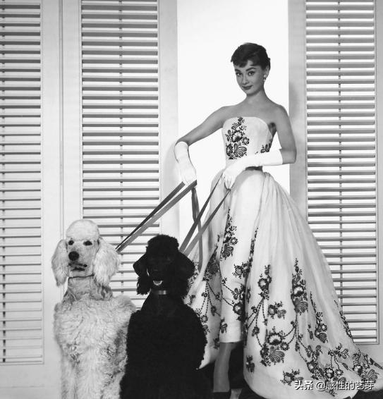 纪梵希一生只为奥黛丽赫本而活,纪梵希和赫本的爱到尽头