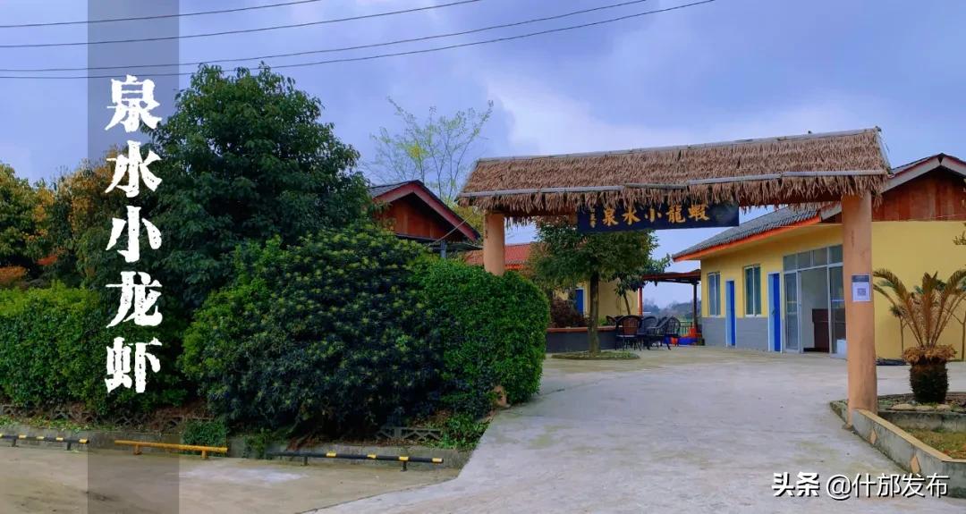 不负好春光文章,不负好春光的上一句