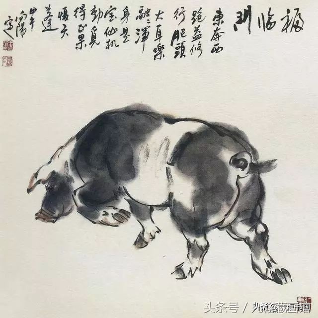 简单猪画画教学,国画写意猪图大全