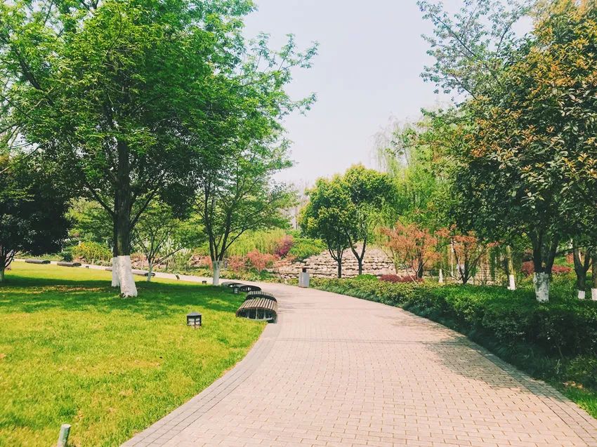 武汉市最热门的春游景点,2022武汉春游好去处