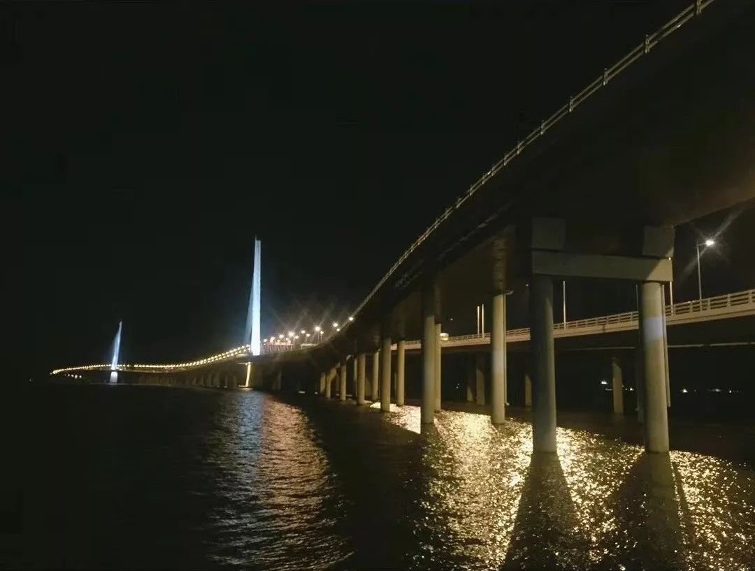 游走在香港大学,游走在深港边缘