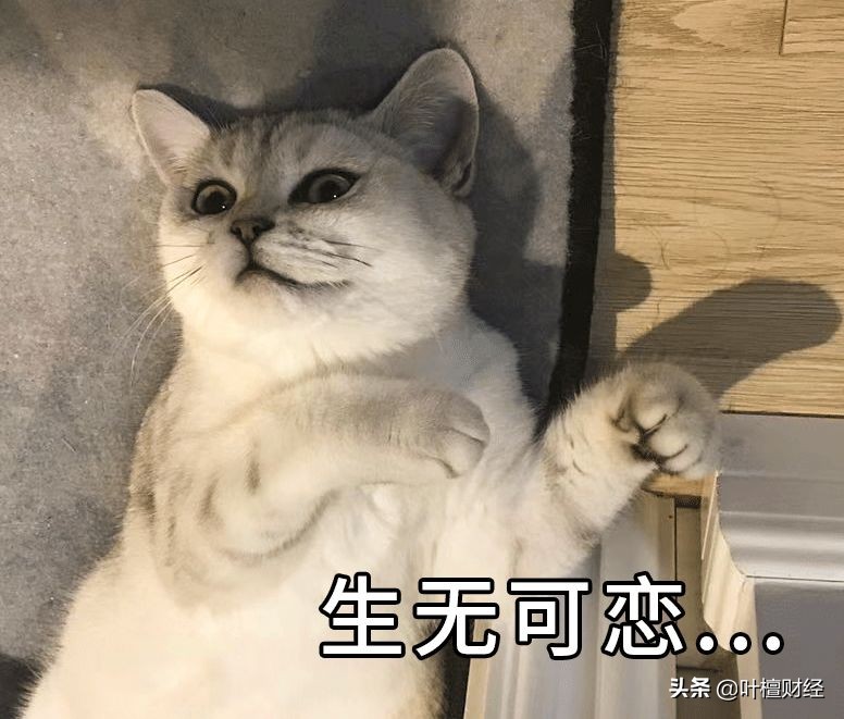 南昌楼市未来走势,一直被忽视逆势上扬