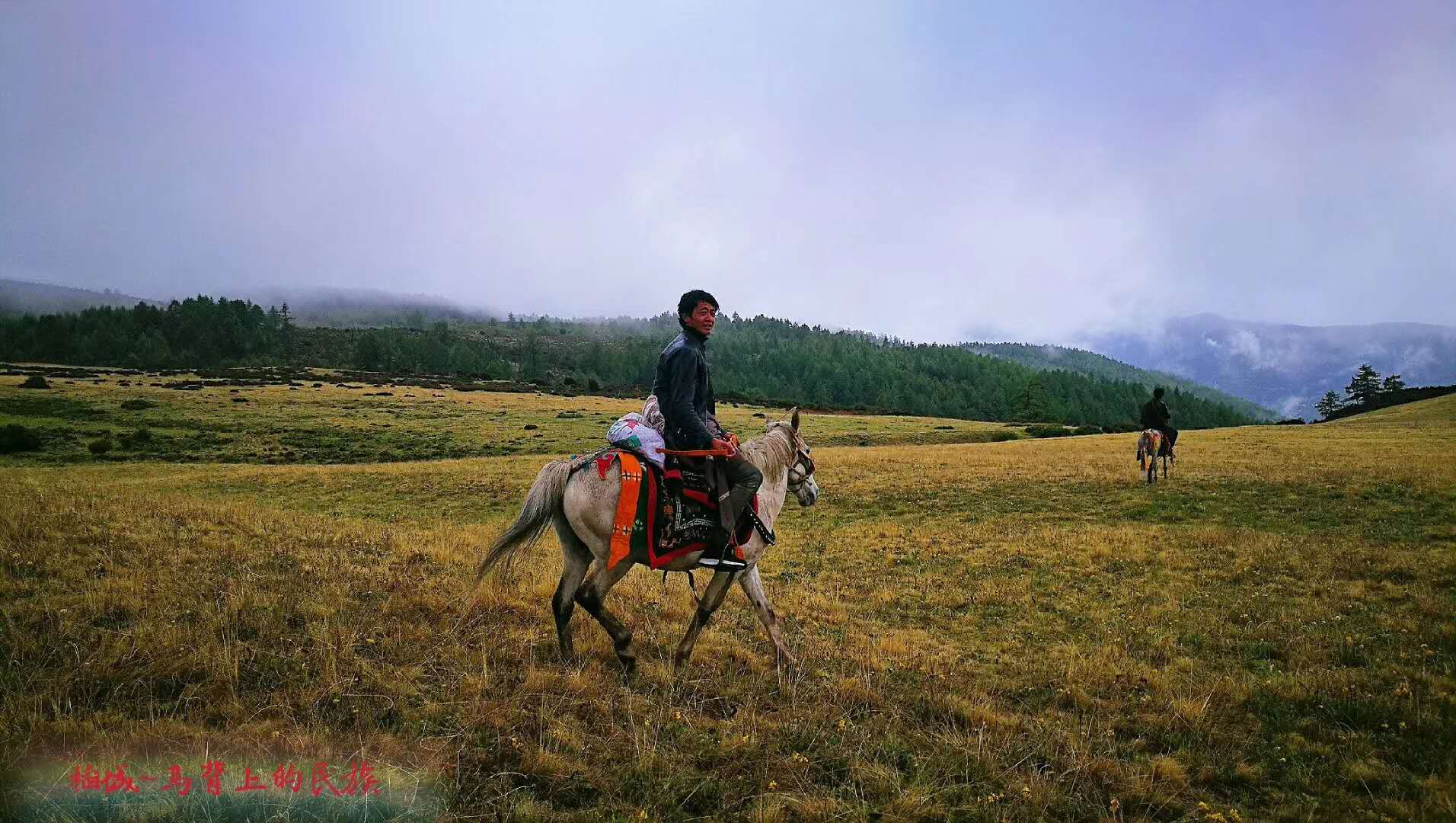 高原上奔跑是什么样的感觉,云顶草原骑马真实感受