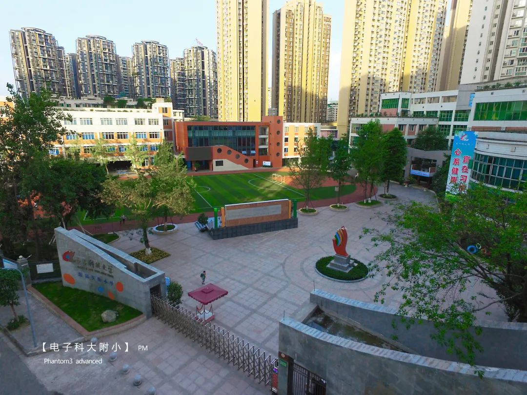 成华教育洼地,成华区教育资源最好的小区