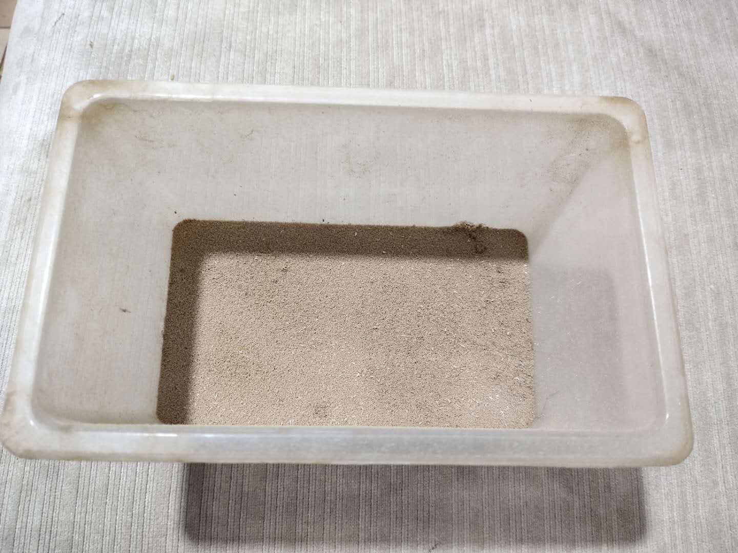 这个事情不是闹着玩的，室内养鱼很多的鱼友，一定要看这篇文章