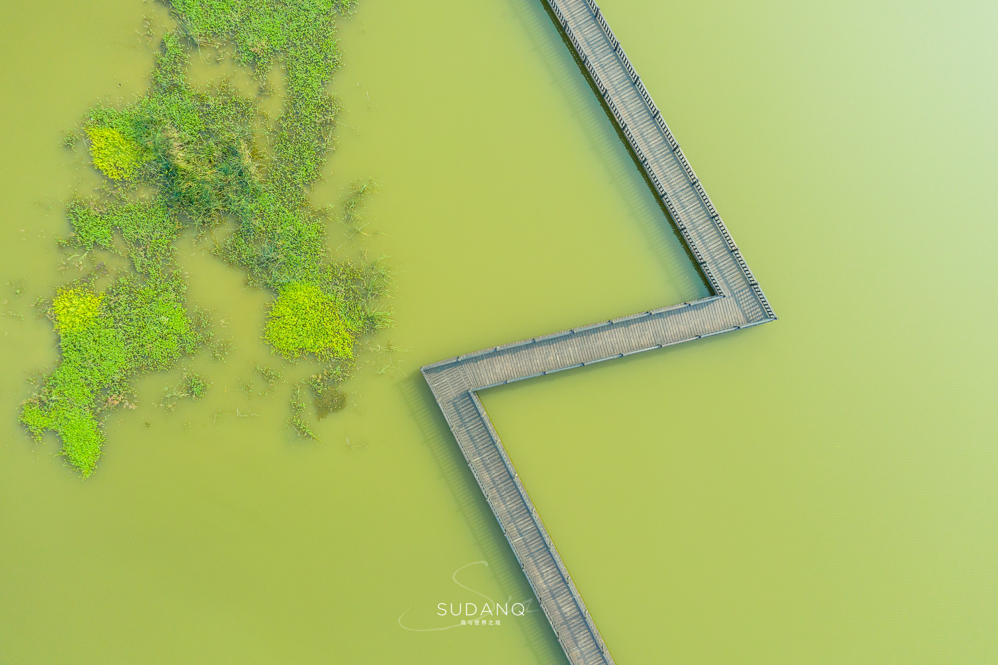 江苏泗洪的风景,江苏的苏南和苏北有什么区别