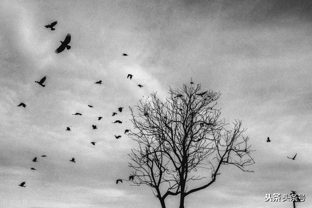 辛苦一辈子的舅舅一路走好,致舅舅暖心句子