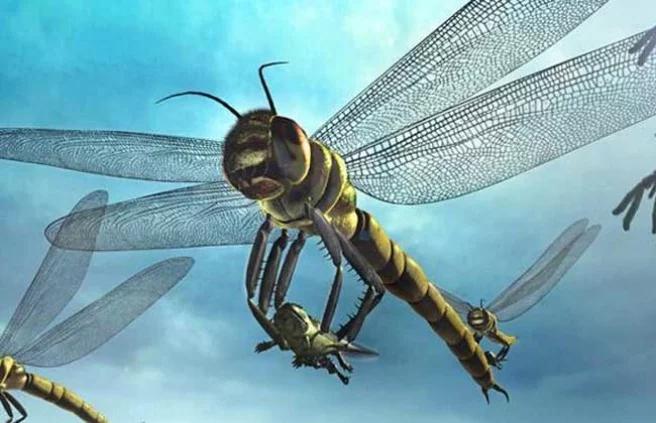 地球最大动物蓝鲸两百吨体重,地球最大的动物是什么动物