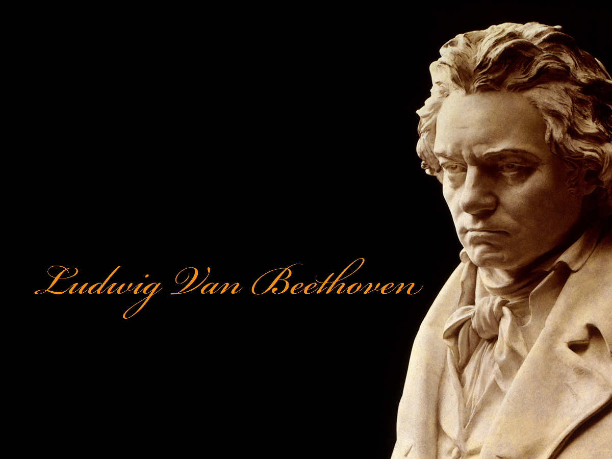 2000元就能享受CD原声音质?马兰士CD5005新手小白的首选