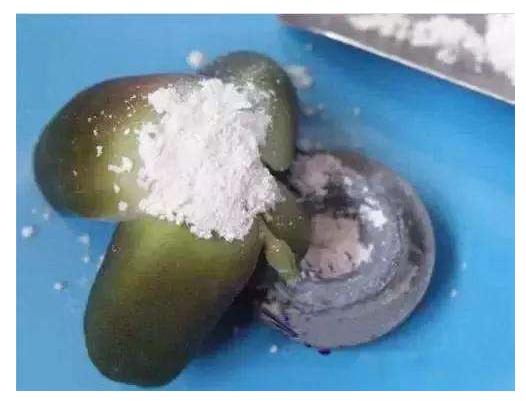 多肉砍头后爆头怎么处理,多肉砍头后怎么才能长出小头