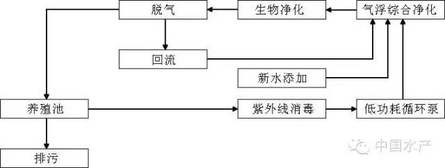 海水工厂循环水健康养殖技术及注意事项