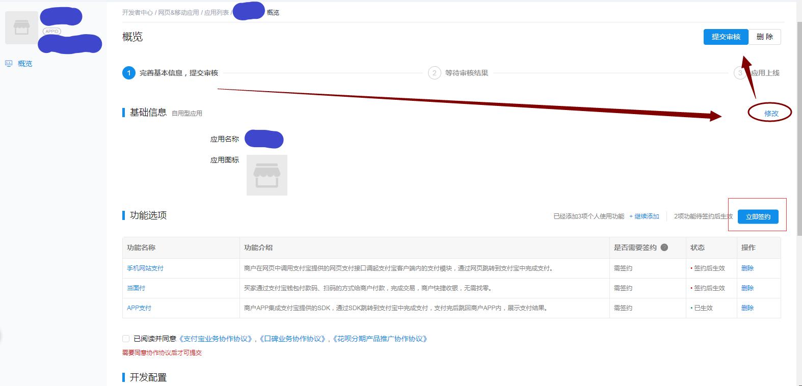 支付宝青年账号可以支付吗,支付宝如何申请支付接口