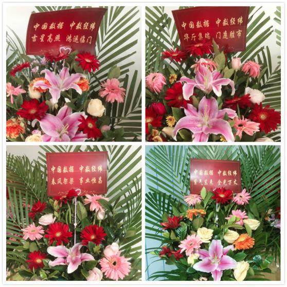 涔旇縼澶у枩钃媰鍙戝睍澶у睍楦垮浘,涔旇縼澶у枩涓囦簨椤烘剰