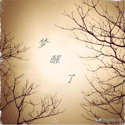 马云说第二天走原路,马云每天作息时间表