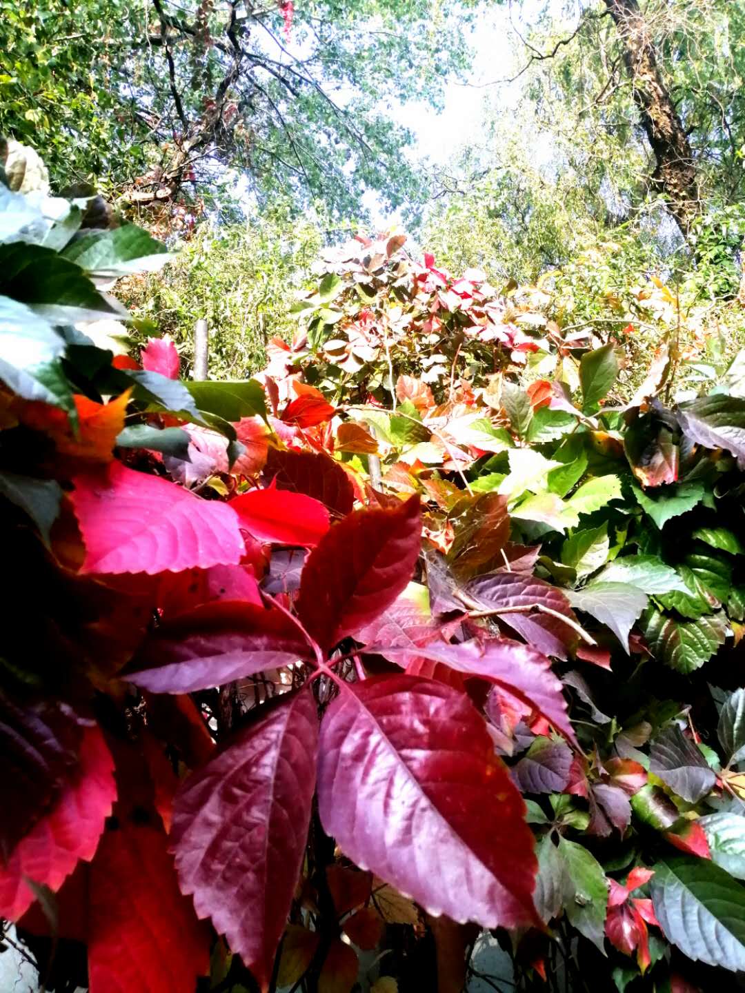 参观沈阳劳模纪念馆感想,参观沈阳历史博物馆的观后感